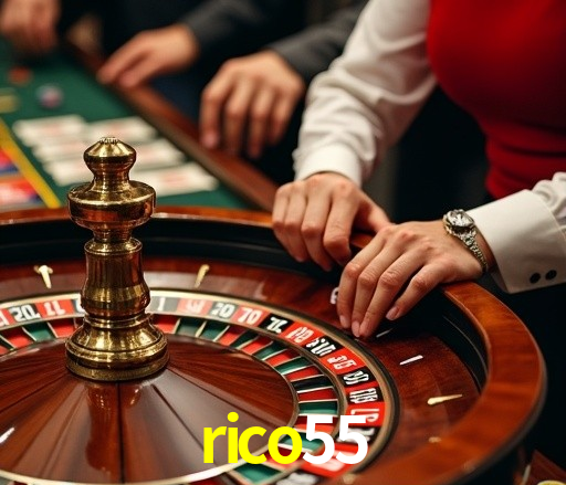 Interface do Aplicativo rico55 - Design Premium e Intuitivo